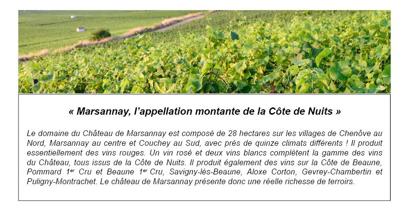 Présentation du Château de Marsannay