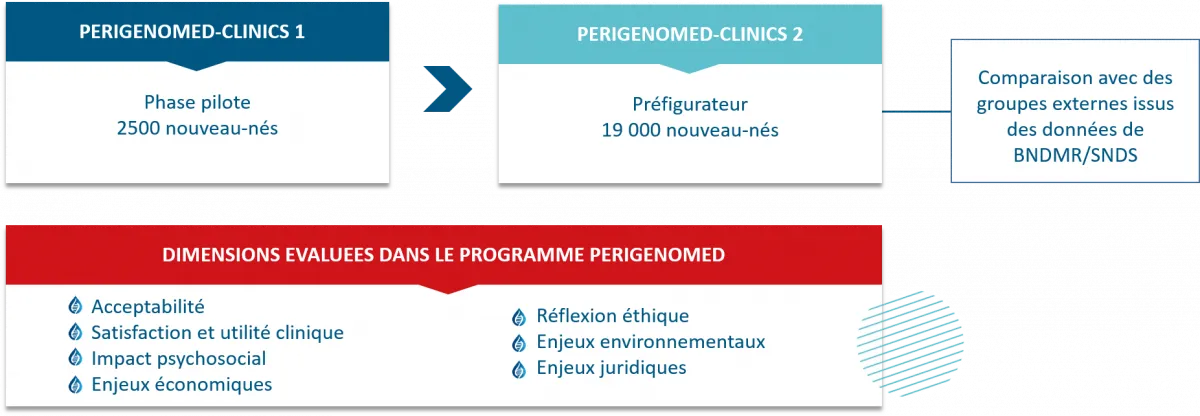 Dimensions évaluées dans PERIGENOMED