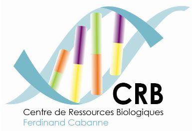 Logo CRB